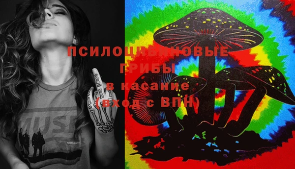 spice Алексин