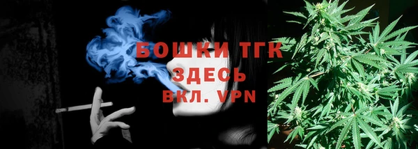 spice Алексин