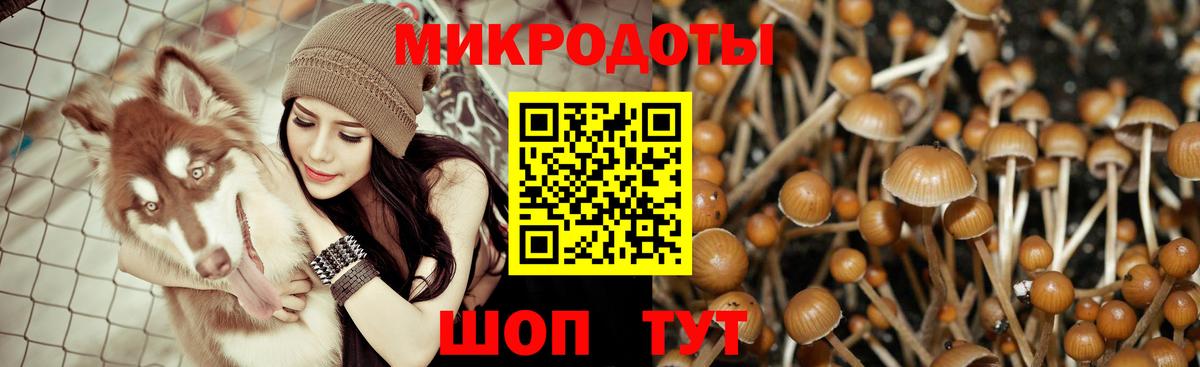 Галлюциногенные грибы Cubensis Ачинск